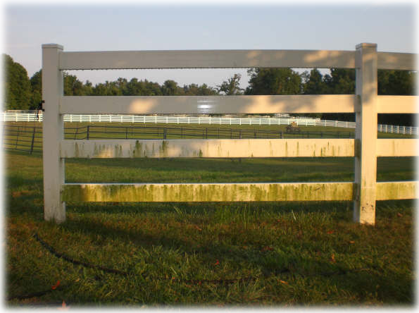 Fence Before
